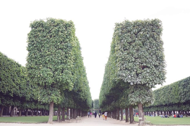 luxembourg garden, jardin du luxembourg