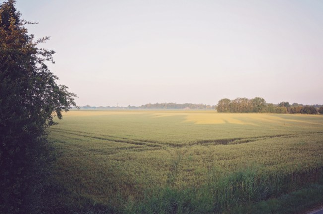 the view from our window